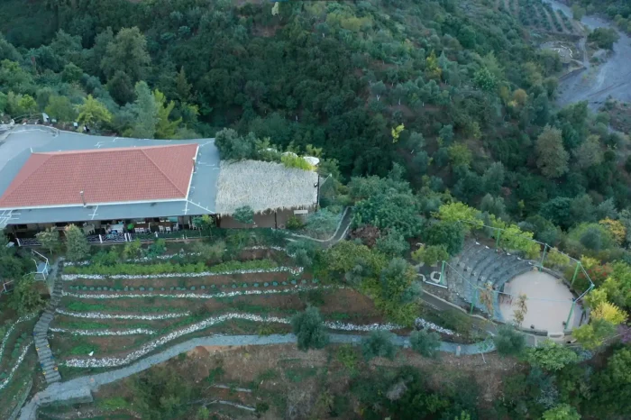Manousakis Winery, Olive Tree Museum & Botanical Park