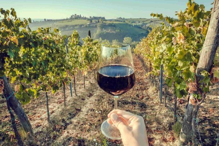 Falasarna – Olive Tree Museum of Vouves – Oil & Wine tasting